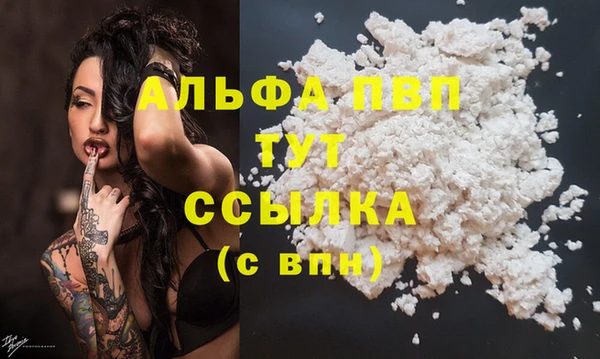 гидра Саяногорск