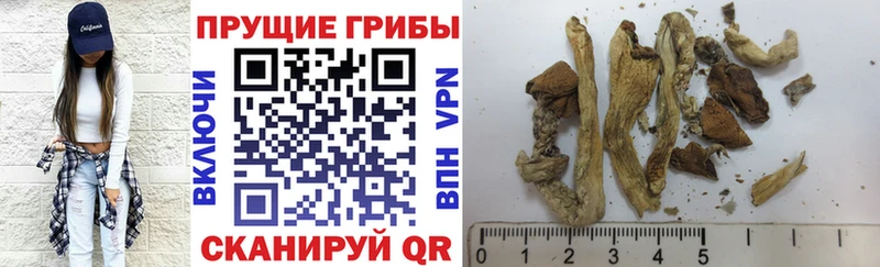 Псилоцибиновые грибы Psilocybe  гидра онион  Нурлат 