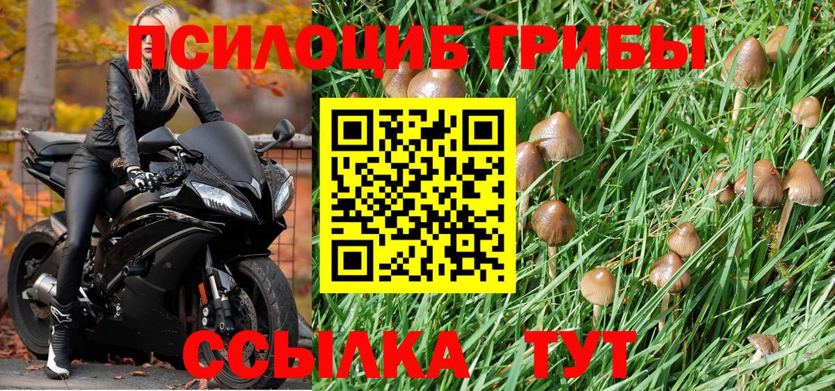 Галлюциногенные грибы прущие грибы Нурлат